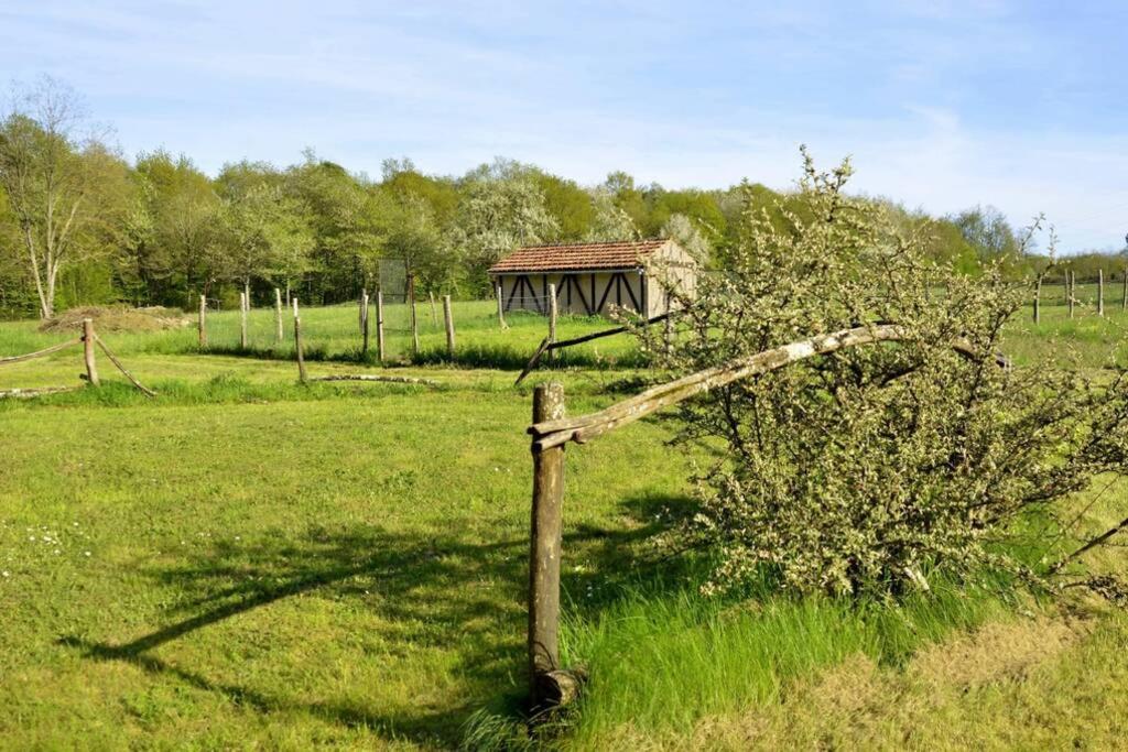 Gîte Peteloup pleine nature pour 12 + piscine La Celle-Saint-Cyr Extérieur photo